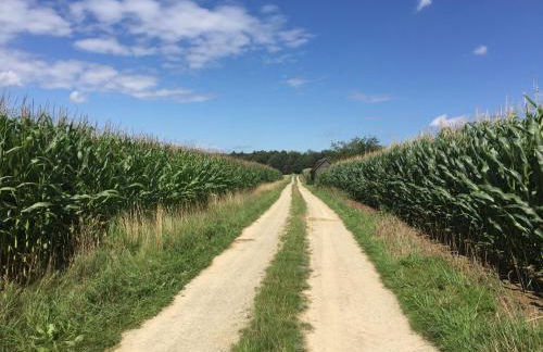 WERTS HOF FerienWohnen - Foto 68