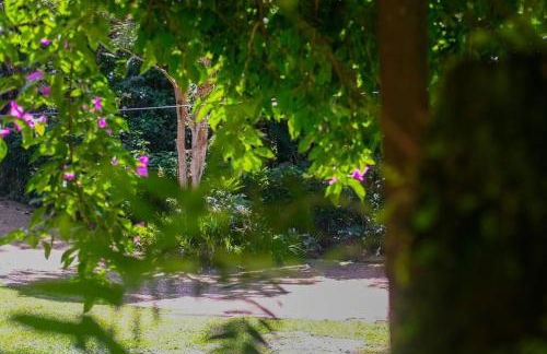 Casa em penedo com cachoeira - Photo 11