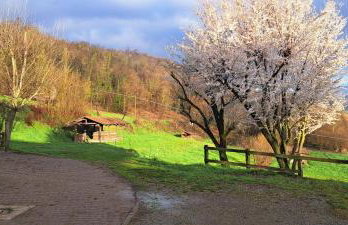 Cascina Fazioli B&B - Foto 28
