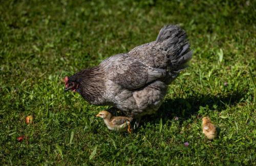 Wassererlehen - Foto 24