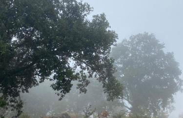 Apartamento El Robledal - Foto 32