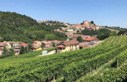 Villa Laura - Foto 66