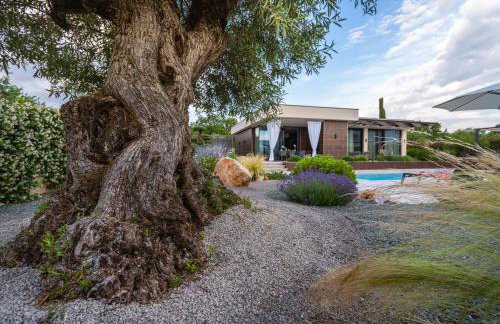 Villa Blumarine - Photo 49