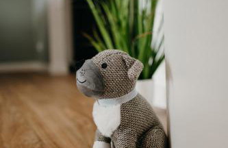 Plöner See bei Plön, mit Panoramablick auf den See - Foto 41