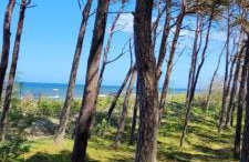 Boho House - Foto 37