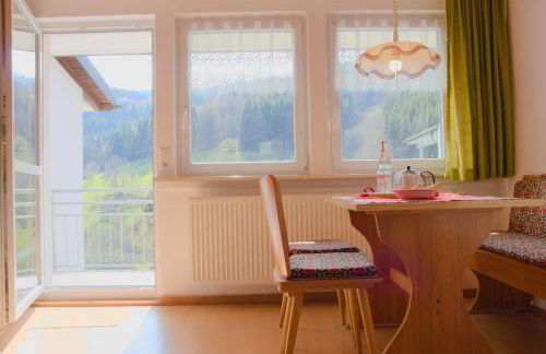 Steiert Panorama Apartments Todtnau - Foto 21