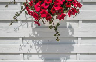 Appartamento fronte mare Villa Lory - Foto 28