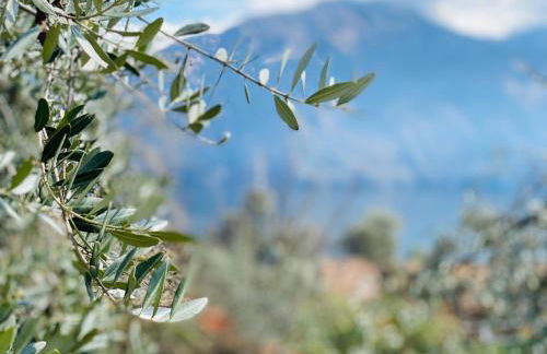 APARTMENT RIVA Lenno - Foto 18