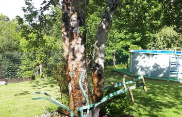 Paraíso Ortegal - Foto 42