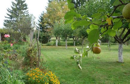 Apartment Mia - Foto 64