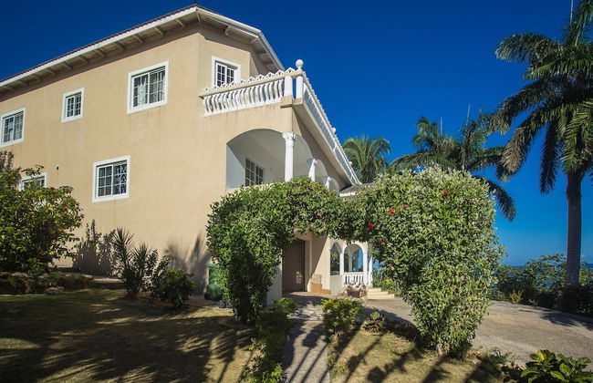 Tall Palms - Photo 17