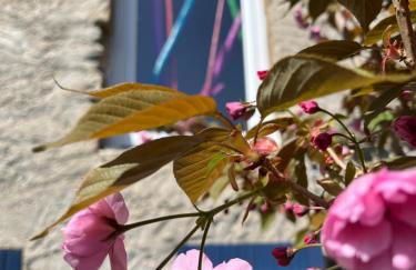 Au Son du Clocher - Foto 15