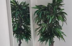 Villa Silver Coast - Foto 54