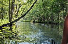 Erholen am See - Photo 21