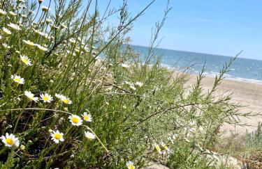 L'Escapade Bohème - Foto 21