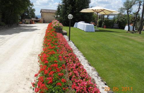 Pulcianese - Foto 22