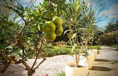 Ferienhaus Dr. Müller - Foto 35