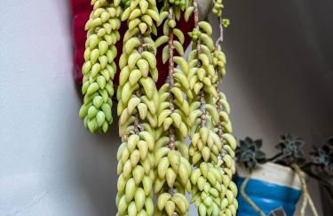 Pousada dos Sonhos - MP - Foto 74