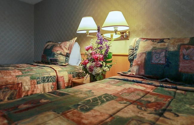 Cartier Place Suite Hotel - Photo 6