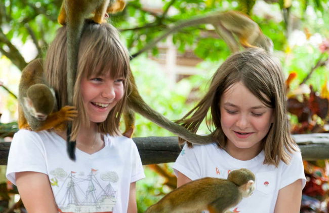 Excursion à Monkeyland - Photo 10