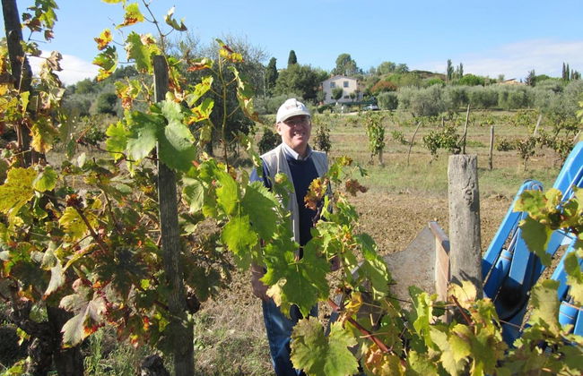 Podere La Montalla - Photo 57