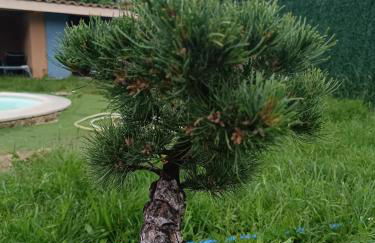 Villa près des remparts - Foto 20