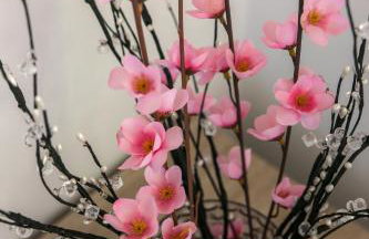 Apartments Relax - Foto 32