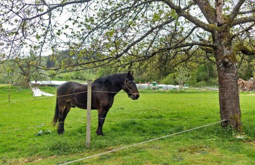 Ferienwohnung Gartenblick - Foto 3