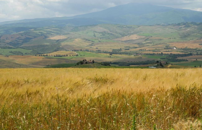 Verdidea - Vallocchie - Foto 50