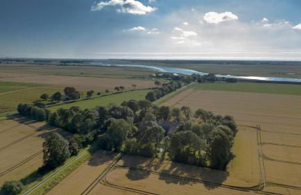 Liebevoll hinterm Deich - Ferienwohnungen - Foto 9