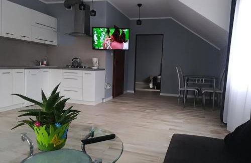 Apart-noclegi - Foto 19