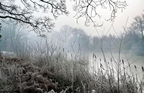 The Lodge At The Lake House - Foto 33