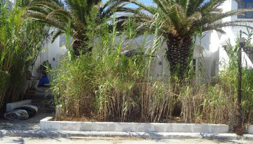 In front of the Beach. - Foto 5