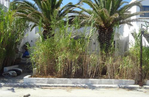 In front of the Beach. - Photo 5