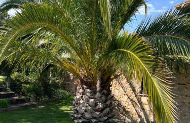 Can Figueretes - Foto 6