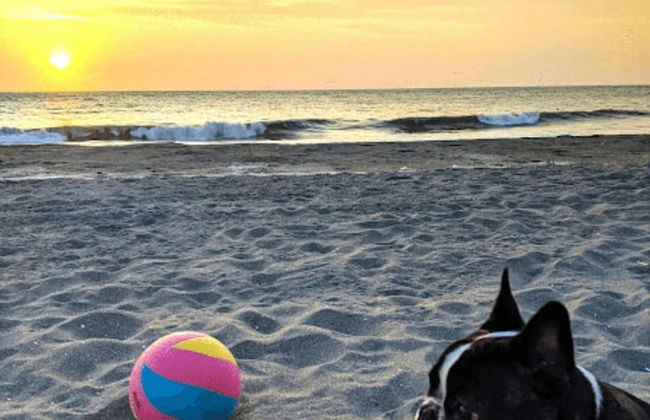 HOP Aruba Exclusiva Oasis y Playa en Chincha - Foto 32