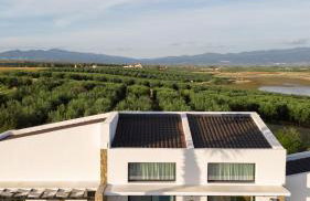 Flamingo Living Halkidiki - The Villas - Foto 26