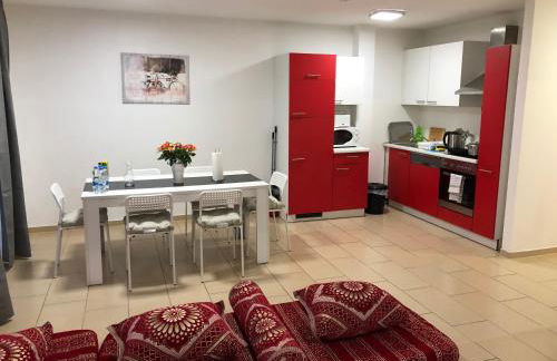 Sahara Falcon - Photo 72