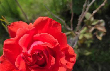 Bridie's Cottage - Foto 29