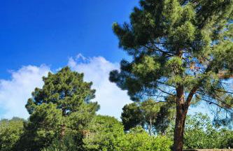 CASA di u cuginu - Foto 16