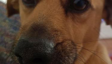 la casetta di Giò - Foto 2