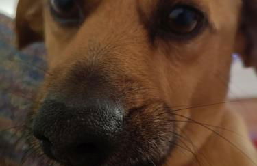 la casetta di Giò - Foto 2