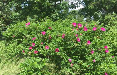Rhöner Sternenhimmel FeWo 1 und 2 - Foto 11