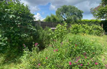 Maison avec jardin Orléans métropole - Photo 49