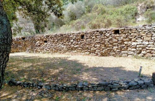 Gîte du domaine de l'Arbre de Vie - Foto 17