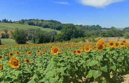 Suite Romantica Borgo di Castelleone di Deruta - Foto 20