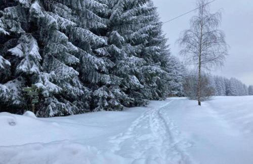 Ferienhaus in Altenfeld Thuringen mit Garten - Foto 64