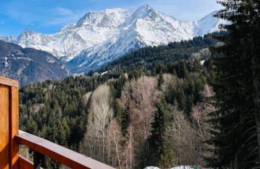 Appartement montagnard avec vue sur le Mont-Blanc - Foto 1