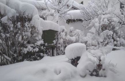 Ferienwohnung Moosegger - Foto 35