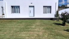 Pineapple Studio - Photo 4